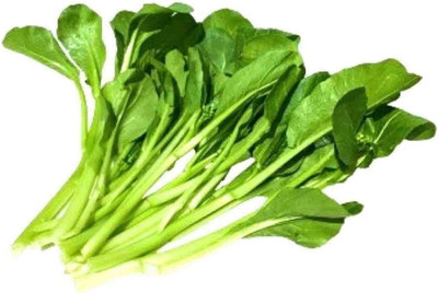 KNESSiN Cabbage Chinese Choy Sum Seed(200 per packet)