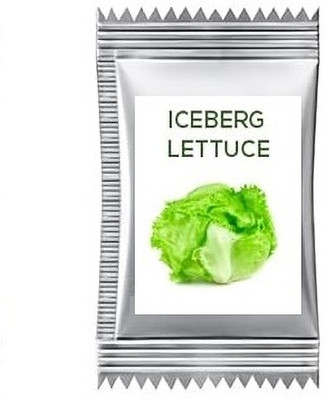 Quentova Iceburg Lettuce 5gm-SWAT-5J Seed(4000 per packet)