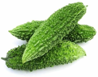 CYBEXIS VXI-87 - High Growth Bitter Gourd (Karela) - (100 Seeds) Seed(100 per packet)