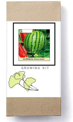 Biosnyg Sweet Crimson Watermelon-[800 Seeds] Seed(800 per packet)