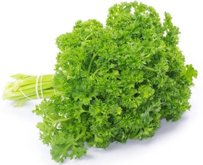 Quentova Leaf parsley - Moss Curled-XIL-4H Seed(150 per packet)