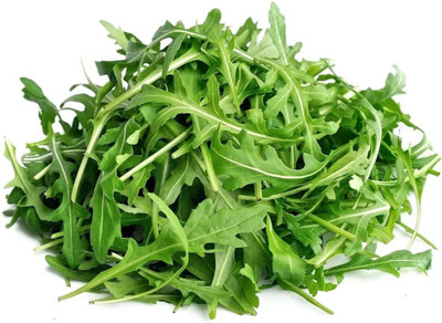 CYBEXIS LX-13 - Wild Arugula - (750 Seeds) Seed(750 per packet)