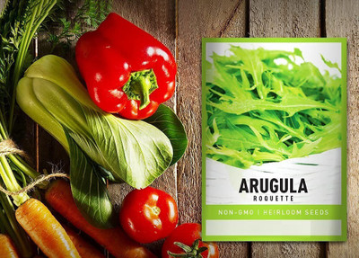 VibeX XLL-18 - Arugula Roquette Rocket - (2250 Seeds) Seed(2250 per packet)