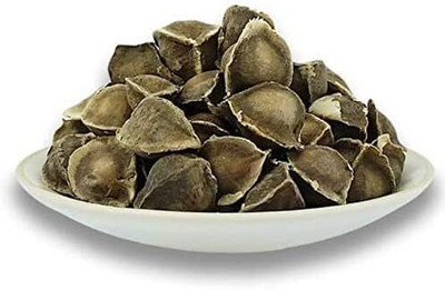 Qualtivate GBPT-2A ODC MORINGA Advance Variety Seed(50 per packet)