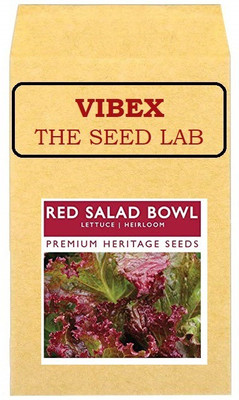 CYBEXIS Red Salad Bowl Lettuce Hybrid Seeds1000 Seeds Seed(1000 per packet)