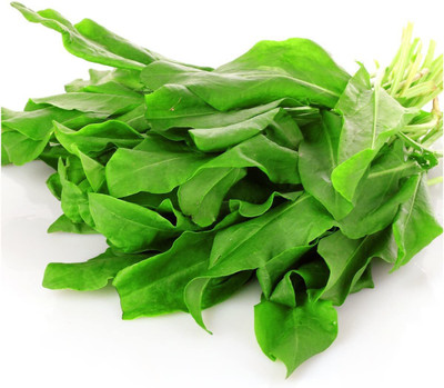 CYBEXIS GBPUT-78 - Arugula Salad Rocket - (2250 Seeds) Seed(2250 per packet)