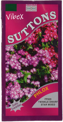 CYBEXIS Hybrid and Phlox Improved Mix Flower Seed Seed(1 g)