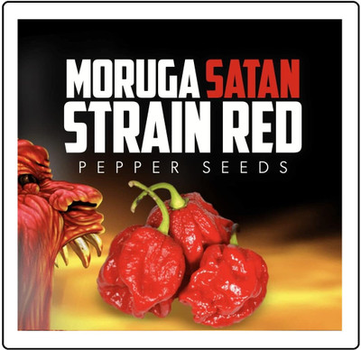 Biosnyg Hybrid Red Moruga Superhot Pepper Seeds For Kitchen Gardening-(400 Seeds) Seed(400 per packet)