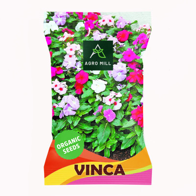 AGRO MILL VINCA/SADA BAHAR/BARAMAASI/PERIWINKLE MULTIFLORA MIXED PREMIUM QUALITY FLOWER Seed(30 per packet)
