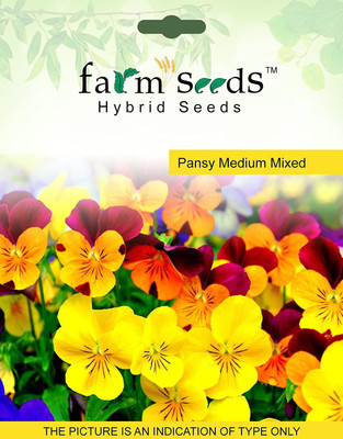CYBEXIS Pansy Medium Mixed Packet Seeds Seed(50 per packet)