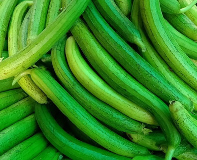 Quentova Sponge Gourd/turai/tori-LNT-9L Seed(50 per packet)