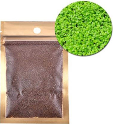 SeedHaven Carpet LIVE Grass Seeds for Aquarium Seed( 350 Seeds ) Seed(350 per packet)