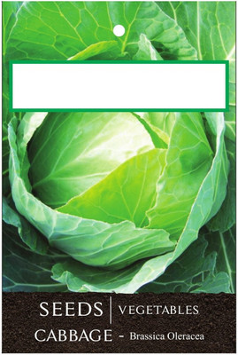 WILLVINE Cabbage DESI Type Seeds OP Quality-[2000 Seeds] Seed(2000 per packet)