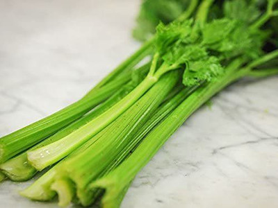 CYBEXIS VVI-38 - Utah Tall Celery - (750 Seeds) Seed(750 per packet)
