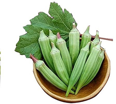 Qualtivate ICRA-4A Native White broad Okra seeds Seed(350 per packet)
