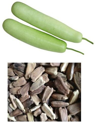 VibeX Bottle Gourd (Lauki/Lau/Clabash) Seeds-(10 Gms, 50 Seeds) Seed(50 per packet)