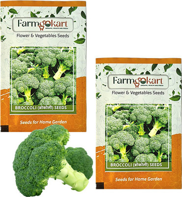 farmgokart 1 PACKETS BROCCOLI SEEDS|Quality Vegetable Seeds Pouch|Home Gardening Seed(100 per packet)