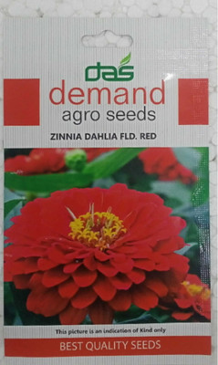 KRASHAK ZINNIA DAHLIA FLOWER SEED - RED COLOR Seed(2 per packet)