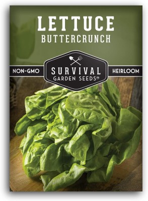 Qualtivate HUA-5A Buttercrunch Lettuce Seed Seed(300 per packet)