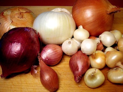 VibeX XLL-18 - Onion Rainbow Mix Neutral - (4500 Seeds) Seed(4500 per packet)