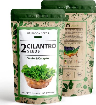 VibeX GBPUT-27 - Calypso & Santo Cilantro - (250 Seeds) Seed(250 per packet)