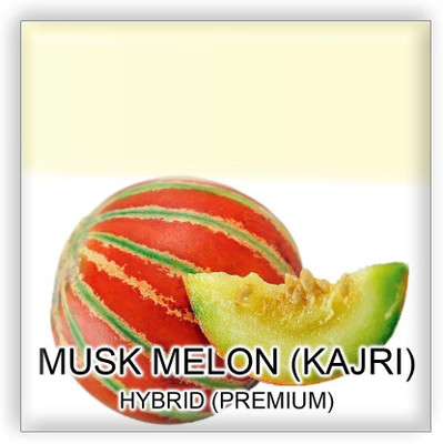 CYBEXIS HUA-82 - Musk Melon - (1350 Seeds) Seed(1350 per packet)