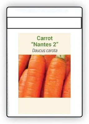 CYBEXIS F1 Hybrid Carrot Nantes 2 Seeds4000 Seeds Seed(4000 per packet)