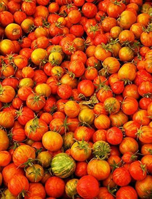 KNESSiN Tigerella Tomato - Lycopersicon esculentum-{800 Seeds} Seed(800 per packet)