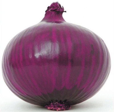 Avysa Red Onion Super Nasik Seed(800 per packet)