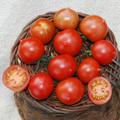 Avysa Tomato Red टमाटर Seed(500 per packet)
