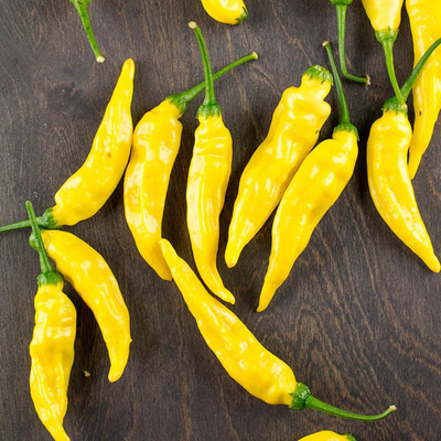 KNESSiN Yellow Chilli Seed(200 per packet)