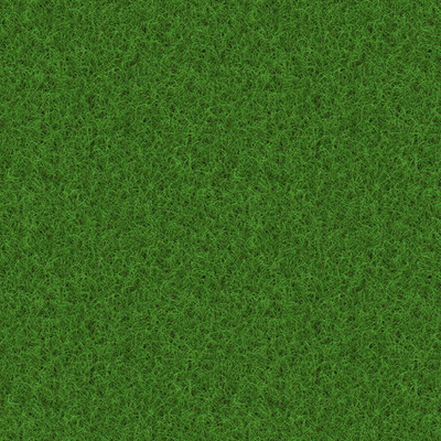 PMA Grass Seeds for Garden/Park/Playground, Lawn Grass Seed(20000 per packet)