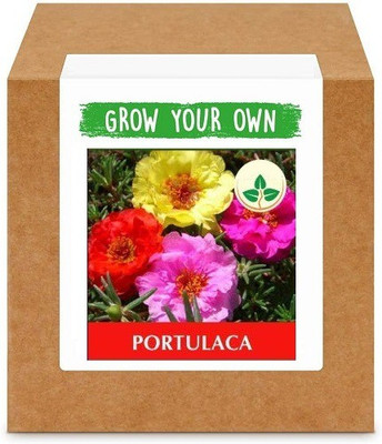 CYBEXIS Portulaca400 Seeds Seed(400 per packet)