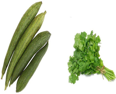 Aywal Coriander and Sponge Gourd Seed(10 per packet)