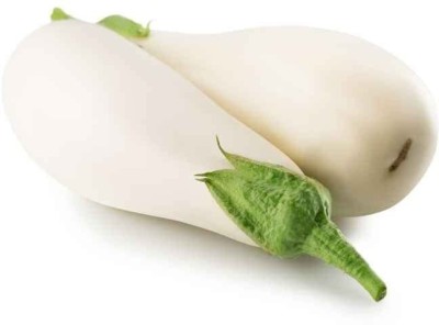 Aywal Brinjal White long plant Seed(160 per packet)