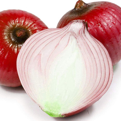 KNESSiN Spicy Red Onion Seed(1250 per packet)
