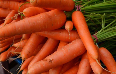 Aywal Carrot Hybrid Seed(2000 per packet)