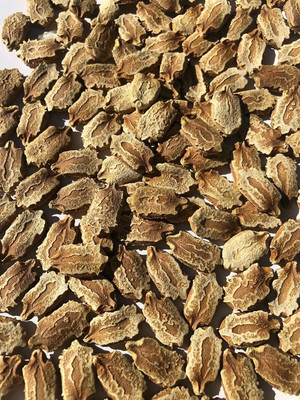 Qualtivate EXL-4AT Bitter Melon Gourd Seeds-Balsam Pear Seed(50 per packet)