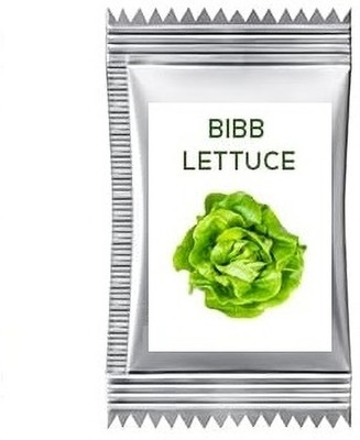 Quentova Bibb Lettuce 2.5gm-XLR-11B Seed(2000 per packet)