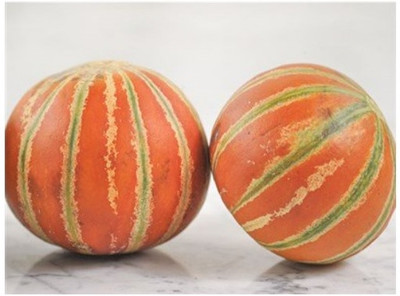 PLUSGREEN Kajri Muskmelon (Kharbuja)/खरबूजे के बीज Seed(100 per packet)