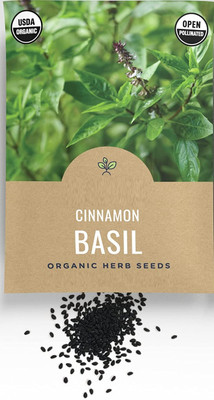 Qualtivate VXI-64 Non GMO Basil Cinnamon Seed(1000 per packet)