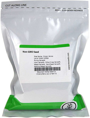 CYBEXIS NBIR-59 - Dill Mammoth Long Island - (2250 Seeds) Seed(2250 per packet)