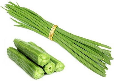 WILLVINE Drumstick Moringa Seeds-[500 Seeds] Seed(500 per packet)