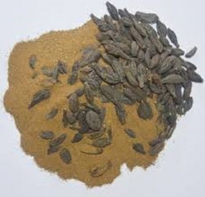ADVAIT ABEER Choti Harad Powder/Terminalia Chebula/Haritaki/Harade for eating/Kadukkai Seed(200 g)