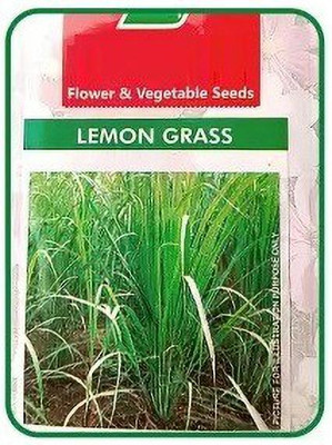 CYBEXIS XLR-40 - Lemon Grass (West Indian) - (2250 Seeds) Seed(2250 per packet)