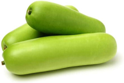 BDSresolve New Bottle gourd seeds/Bottle gourd seeds 16 Seed(16 per packet)