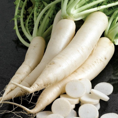 KNESSiN Radish - Long Mooli Hybrid[600 Seeds] Seed(600 per packet)