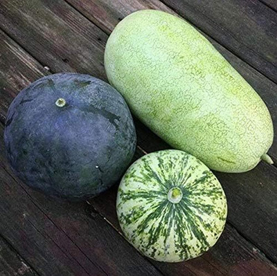 Qualtivate HUA-1A Watermelon Alibaba Giant Mix Seed(100 per packet)