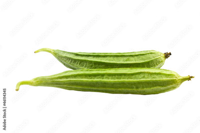 Paudhaa FI QUALITY RIDGE GOURD Seed(10 per packet)