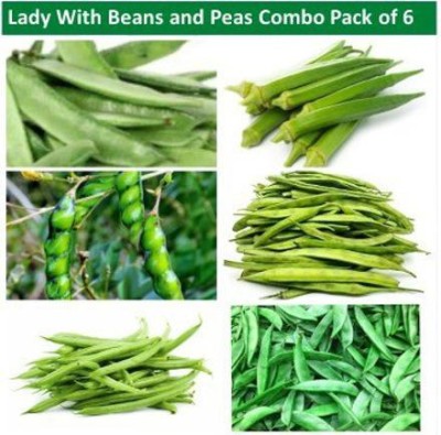 GranysGarden Lady With Beans and Peas Combo Pack of 6 Seed(60 g)